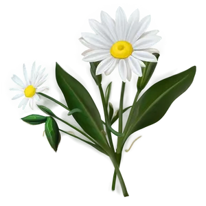 White Wildflower PNG 05242024