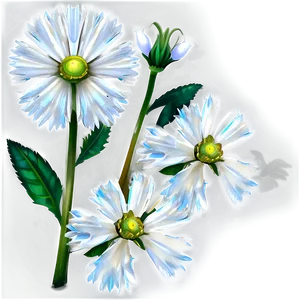White Wildflower PNG 05242024