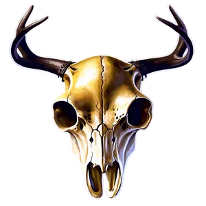 Whitetail Deer Skull Illustration Png 06132024 PNG image