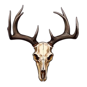 Whitetail Deer Skull Illustration Png 06132024 PNG image