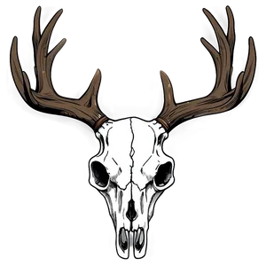 Whitetail Deer Skull Illustration Png 06132024 PNG image