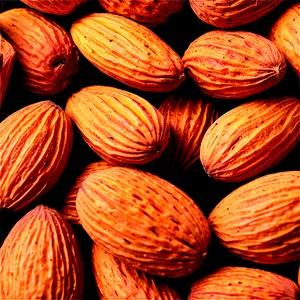 Whole Almond PNG Ngv