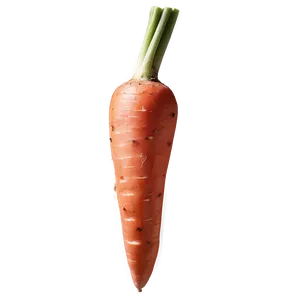 Whole Carrot Png Iiv99 PNG image