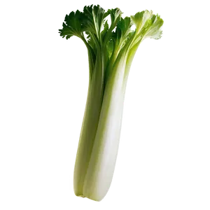 Whole Celery Bunch Png 06252024 PNG image