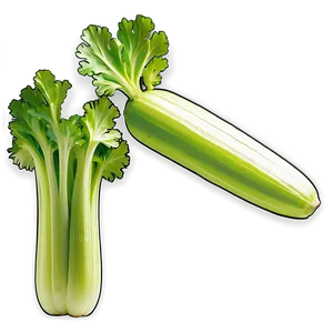 Whole Celery Png 93 PNG image