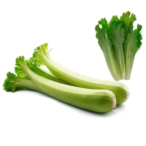 Whole Celery PNG Wxx28 PNG
