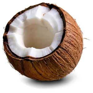 Whole Coconut PNG 67
