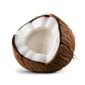 Whole Coconut PNG Frk
