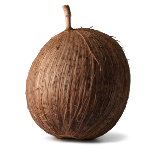 Whole Coconut PNG Ugf23