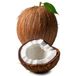 Whole Coconut PNG Ynh49