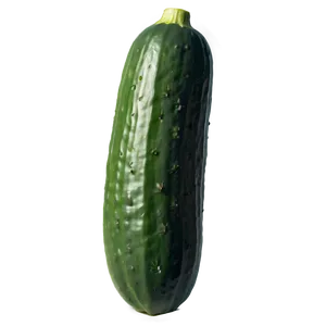 Whole Cucumber PNG 05242024