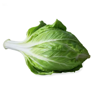 Whole Lettuce Head PNG 05242024