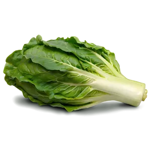 Whole Lettuce Head PNG 77