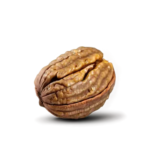 Whole Walnut Png 06122024 PNG image