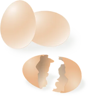 Wholeand Cracked Eggs Illustration PNG image