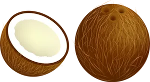 Wholeand Half Coconut Illustration PNG image