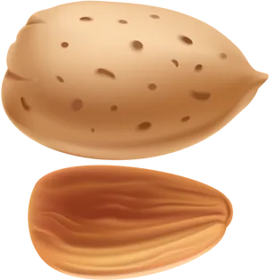 Wholeand Halved Almond Illustration
