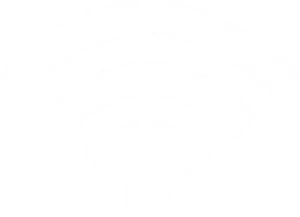 Wi Fi Signal Icon PNG image