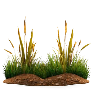 Wide Grass Patch PNG 06212024