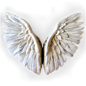 Wide White Wings PNG 06262024 PNG