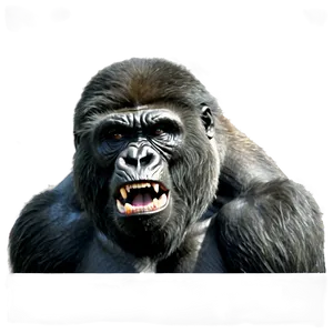 Wild Angry Gorilla PNG Glb42 PNG