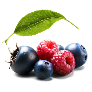 Wild Berries Assortment Png 06122024 PNG image