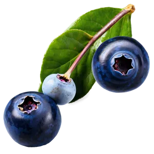 Wild Blueberries PNG Glb59