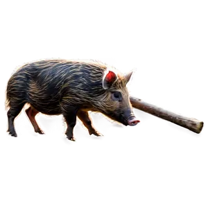 Wild Boar Hog PNG 06252024 PNG