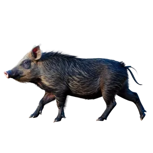 Wild Boar Hog Png 48 PNG image