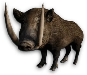 Wild Boar Isolated Cutout PNG image