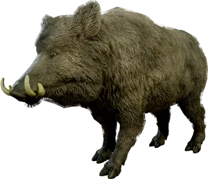 Wild Boar Isolatedon Transparent Background.png PNG image