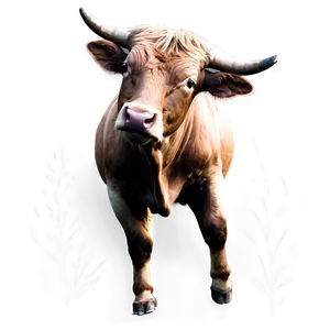 Wild Bull Illustration PNG Umg