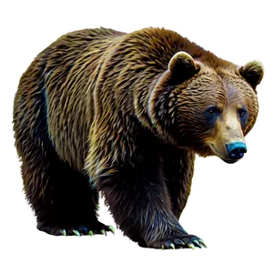 Wild California Bear Graphic Png 06262024 PNG image