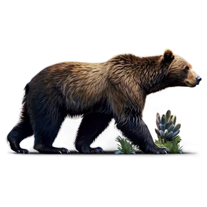 Wild California Bear Graphic Png 06262024 PNG image