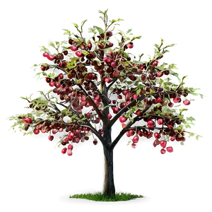 Wild Cherry Tree Png 35 PNG image