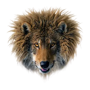 Wild Fur Texture PNG Gxo93