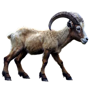 Wild Goat Png Qrd PNG image