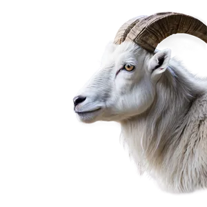 Wild Goat Png Xpd65 PNG image