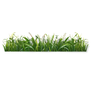 Wild Grass Border Png 31 PNG image