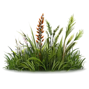 Wild Grass Clipart PNG 81