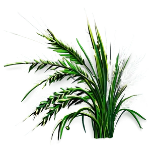 Wild Grass Clipart PNG Cir11 PNG