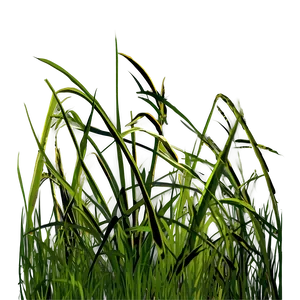 Wild Grass Clipart PNG Mrk
