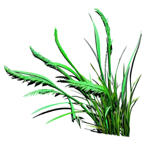 Wild Grass Detail PNG 31