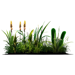 Wild Grass Ecosystem PNG Vup70