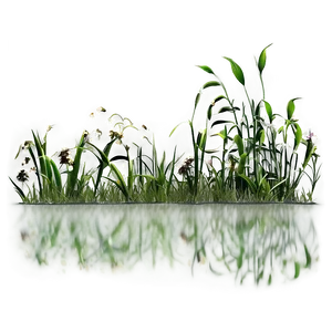 Wild Grass Ecosystem PNG Wsq