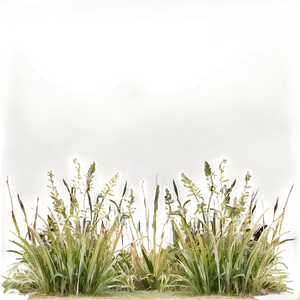 Wild Grass Field View PNG Vfk77 PNG