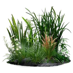 Wild Grass Habitat PNG Goh37 PNG