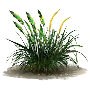 Wild Grass In Shade PNG 06292024