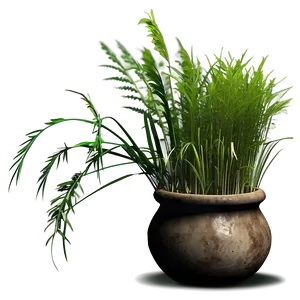 Wild Grass In Shade PNG Etr