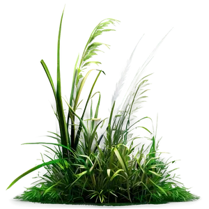 Wild Grass In Shade PNG Wyv79 PNG